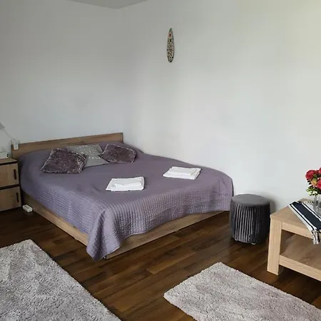 Apartment Just Like Home: Cozy Condo Near Iulius Mall *